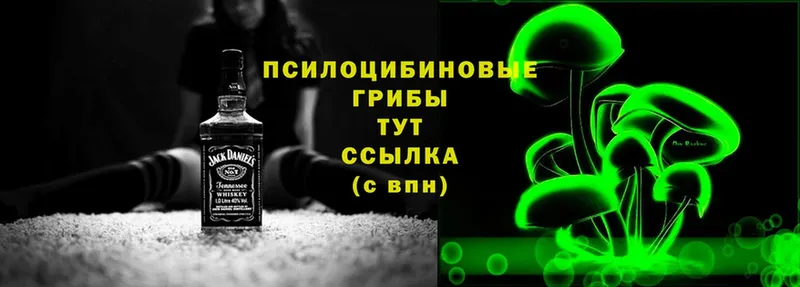 как найти наркотики  Дальнегорск  MEGA маркетплейс  Псилоцибиновые грибы Magic Shrooms 